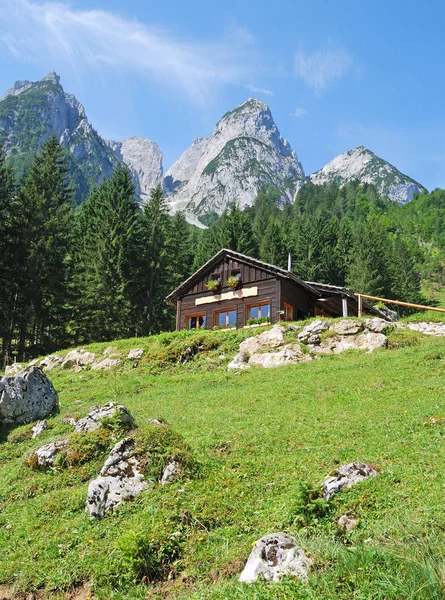 Bergen van Gosau, Oostenrijk — Stockfoto