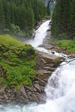 Nehir Kaprun, Avusturya yakınındaki ormanda