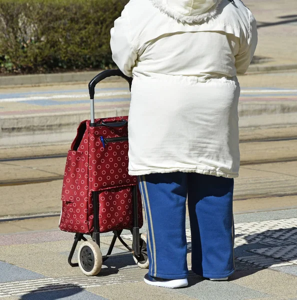 Mujer de edad se para en la calle con lagguage —  Fotos de Stock