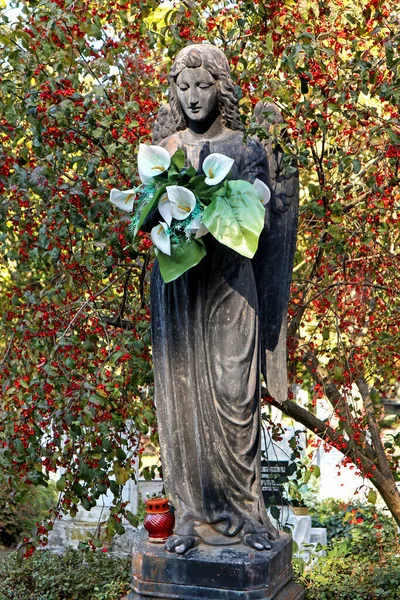 Ängelstaty på den offentliga kyrkogården — Stockfoto