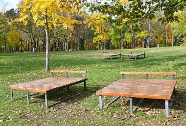 Ormanda sonbahar zamanı ahşap iskemleler