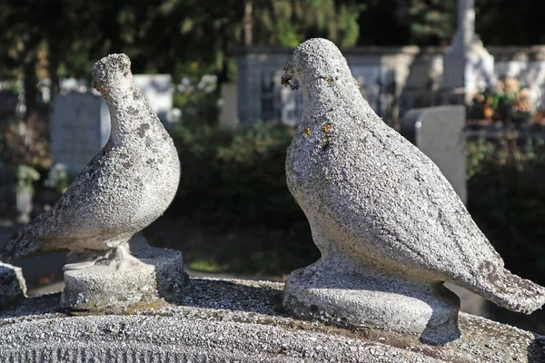 Dove statues on the tombstone in the public cemetery — Stock Photo, Image