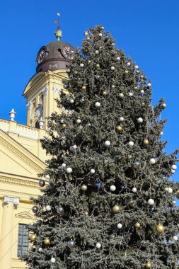 Büyük kilisenin yanındaki uzun yılbaşı ağacı.