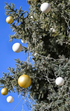 Küreli Noel ağacı süsleri