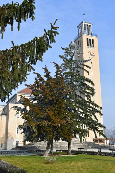 Church tower and pine trees in winter — 스톡 사진