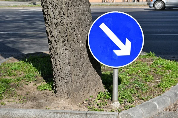 在一棵树旁边的箭头交通标志 — 图库照片