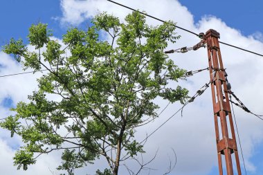 Tramvayın hava kablosu.