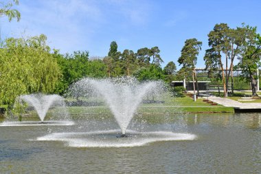 İlkbaharda ormandaki çeşme.
