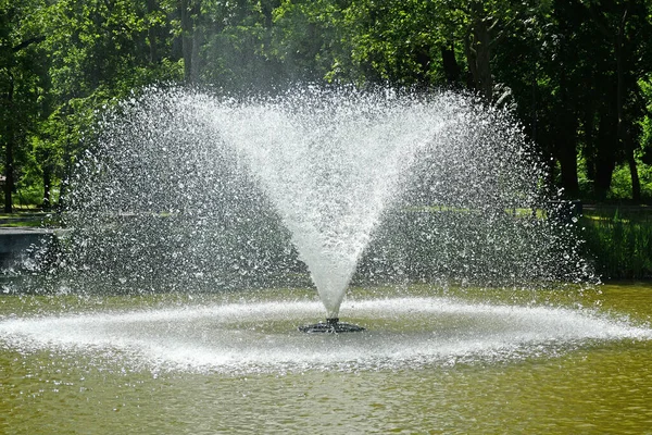 Fonte Bosque Parque Primavera — Fotografia de Stock