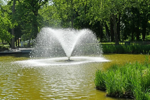 Fonte Bosque Parque Primavera — Fotografia de Stock