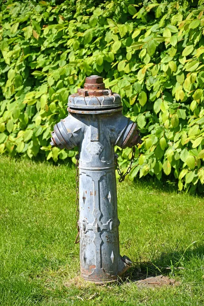 Hydrant Pożarowy Obszarze Trawy — Zdjęcie stockowe