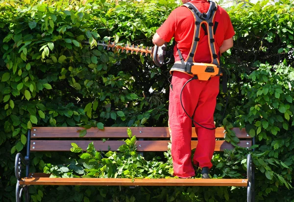 Hombre Está Trabajando Con Podador Setos Pie Banco —  Fotos de Stock