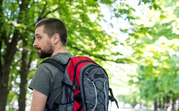 Genç bir erkek turist gri-kırmızı bir sırt çantasıyla parkta yürüyor ve yan tarafa bakıyor. Arkadan bak. Kopya alanı ile doğa yolculuğu kavramı.