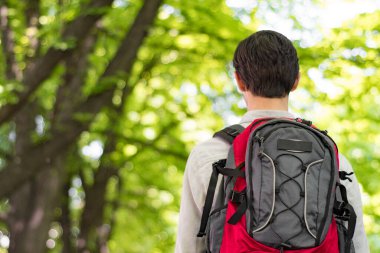 Genç bir erkek turist gri-kırmızı bir sırt çantasıyla parkta yürüyor. Arkadan bak. Kopya alanı ile doğa yolculuğu kavramı.