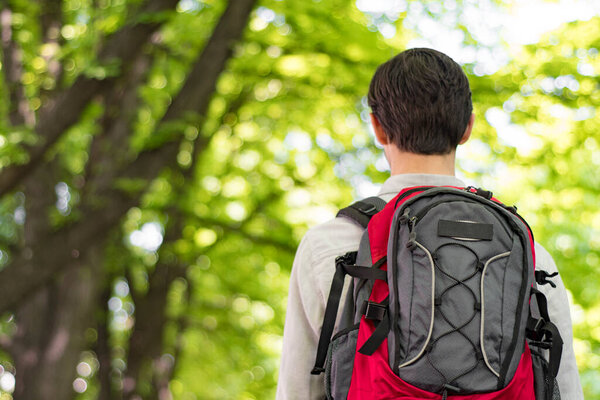 A young male tourist is walking in the park with a gray-red backpack. Back view. Nature travel concept with copy space.