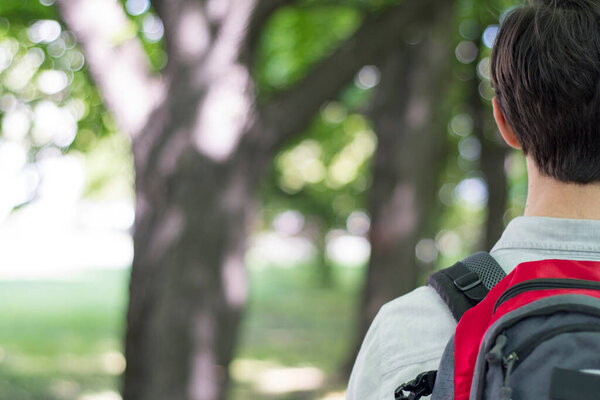 A young male tourist is walking in the park with a gray-red backpack. Back view. Nature travel concept with copy space.