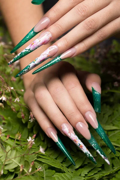 Larga manicura hermosa con flores en los dedos femeninos. Diseño de uñas. Primer plano —  Fotos de Stock