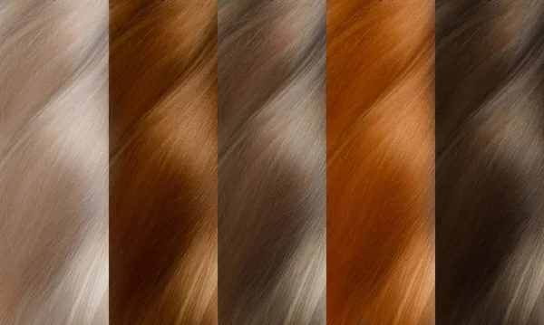 Coleção de cabelo Cores Set. Tints — Fotografia de Stock