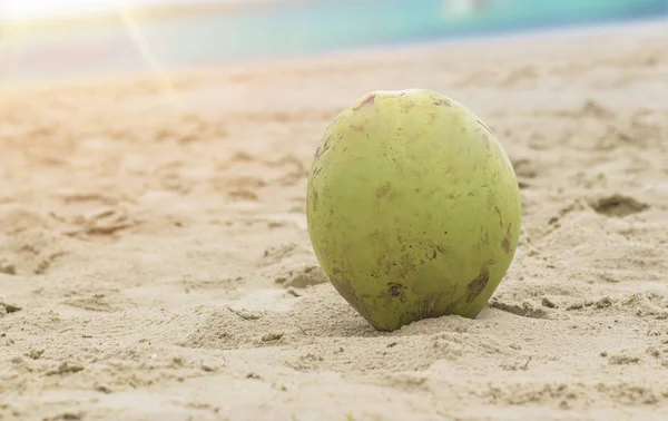 kum üzerinde yeşil taze hindistan cevizi. Tropikal plaj arka plan.