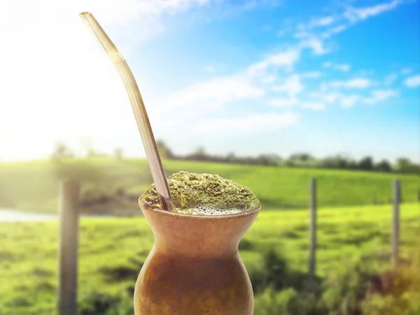 Chimarrao, traditioneller Mate-Tee. Getränk aus dem Süden Brasiliens. Auch bekannt wie ein Kumpel. auf sonnigem Bauernhof Landschaft Bokeh Hintergrund — Stockfoto