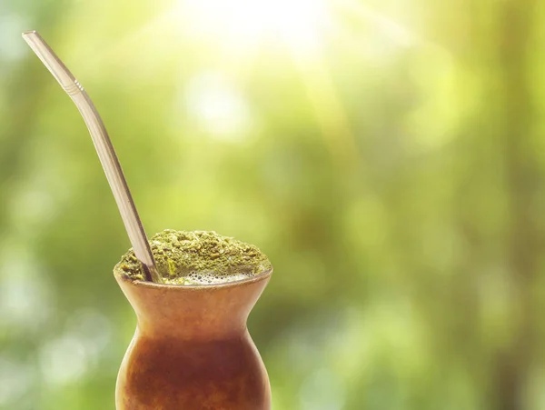 Chimarrao, geleneksel mate sıcak çay. Brezilya'nın güneyinden bir içki. Ayrıca dostum gibi biliyorum. Güneşli yeşil bokeh arka plan üzerinde