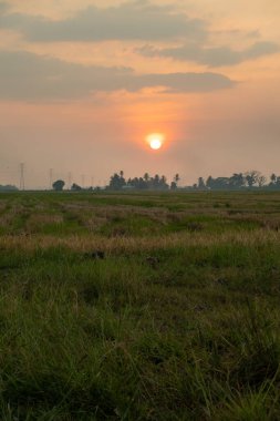 Malezya 'nın Kedah kentindeki Paddy Field' da Manzaralı Gün Batımı