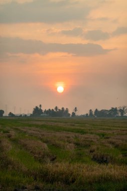 Malezya 'nın Kedah kentindeki Paddy Field' da Manzaralı Gün Batımı
