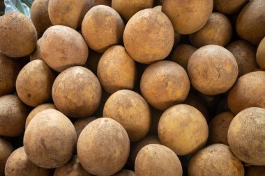 Sapodilla ya da Ciku rafa dizilmiş.