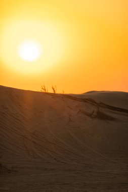 Gün batımında Dubai çölünün manzaralı manzaraları