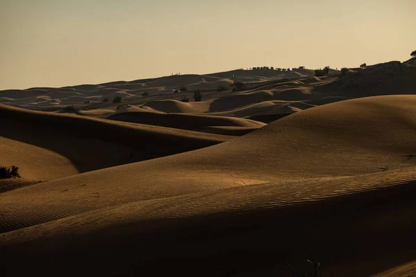 Paesaggi Panoramici Nel Deserto Dubai Una Giornata Sole — Foto Stock