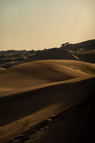 Paesaggi Panoramici Nel Deserto Dubai Una Giornata Sole — Foto Stock