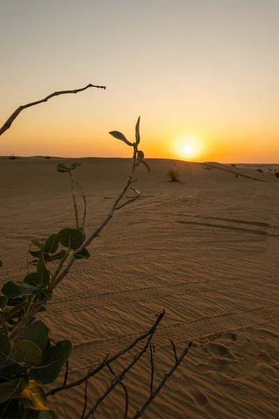 Paesaggi Panoramici Del Deserto Dubai Durante Tramonto — Foto Stock