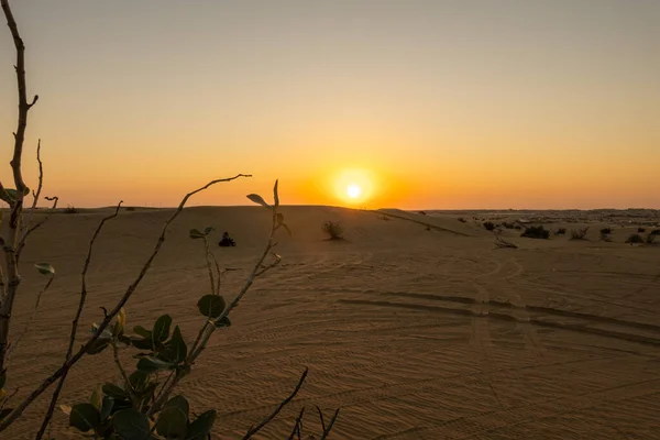 Paisagens Panorâmicas Deserto Dubai Durante Pôr Sol — Fotografia de Stock