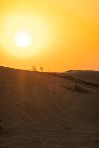Paesaggi Panoramici Del Deserto Dubai Durante Tramonto — Foto Stock
