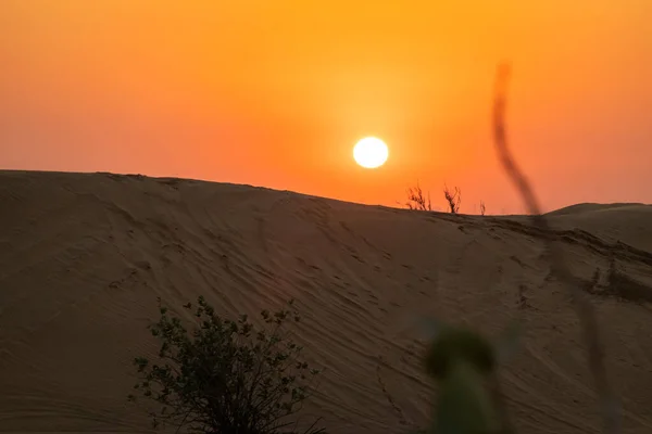 日落时迪拜沙漠的风景 — 图库照片