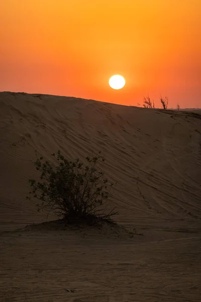 Landschaftliche Landschaften Der Wüste Von Dubai Bei Sonnenuntergang — Stockfoto