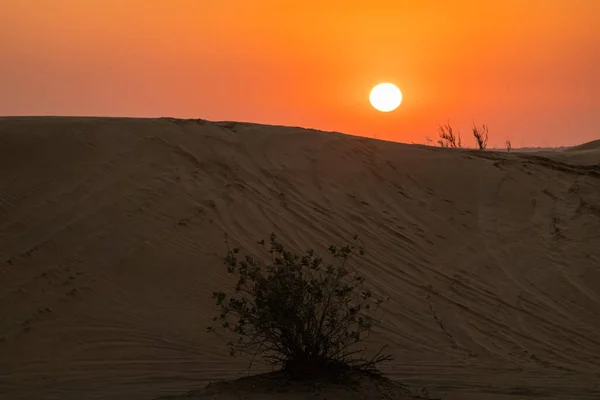 Gün Batımında Dubai Çölünün Manzaralı Manzaraları — Stok fotoğraf