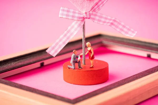 Miniatur Paar Vor Rosa Hintergrund — Stockfoto