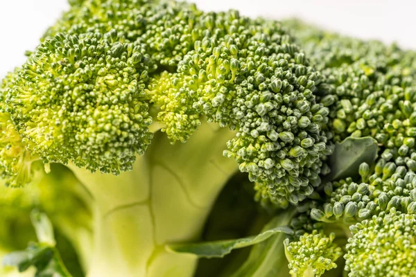 Fresh Broccoli isolated on white background