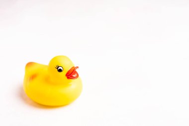 Sarı Kauçuk Ördek beyaza karşı izole