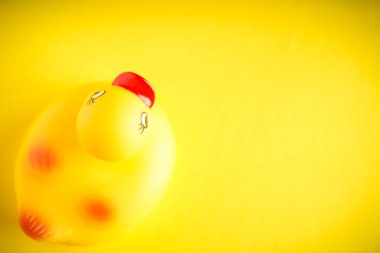 Sarı arkaplanda sarı plastik ördek