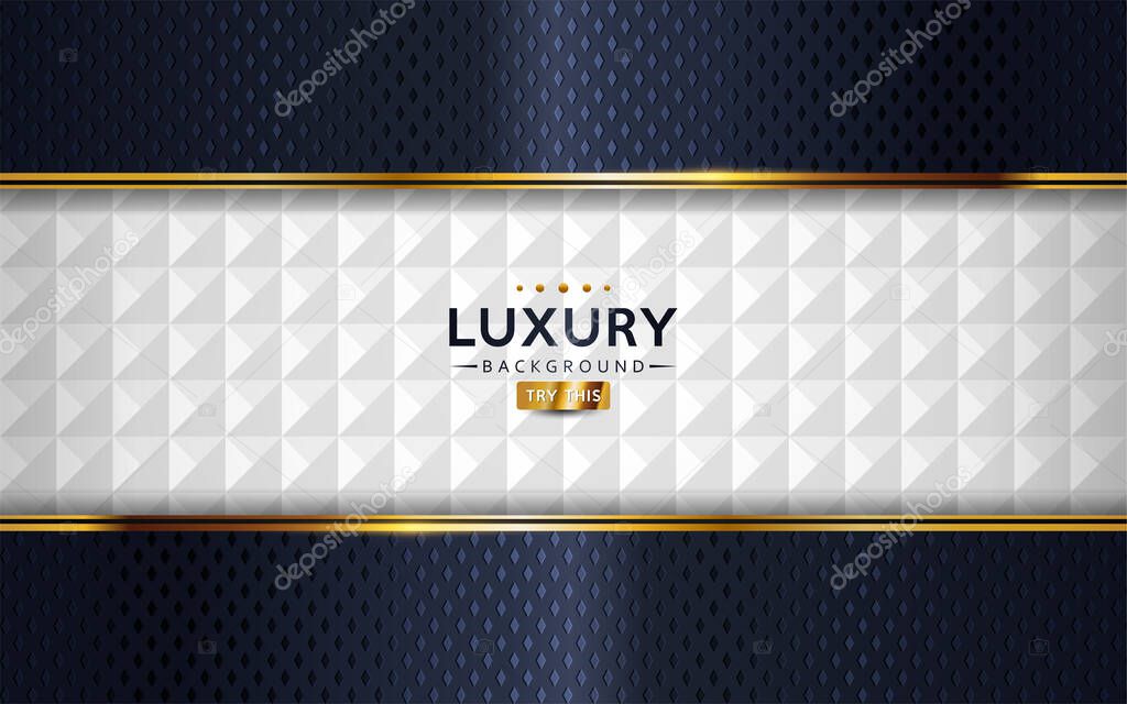 Dark navy and textured white luxury abstract background. Vector graphic illustration