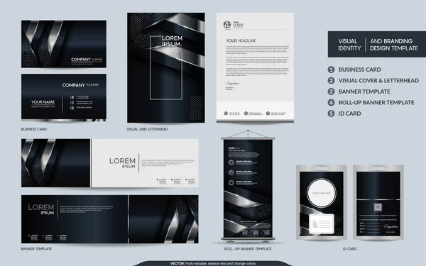 Luxusní Černá Stříbrná Celina Modeluje Set Vizuální Identitu Značky Abstraktními — Stockový vektor