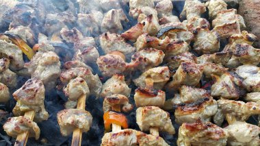 Sıcak kömürde et pişirmek. Piknikte barbekü