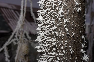 Kar kristalleri. Buz tutmuş metalin üzerindeki buz