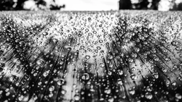 Gotas Água Copo Policarbonato — Fotografia de Stock