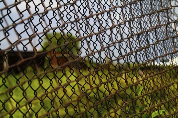 Mřížka Pozadí Příroda Národní Park — Stock fotografie