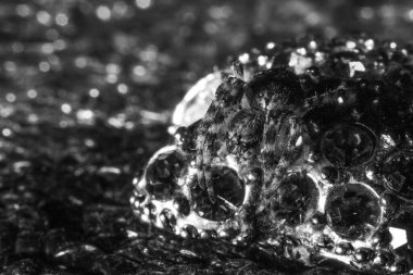 Örümcek makroda mücevhere oturur.