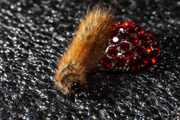 Caterpillar Sur Les Bijoux Pierres Précieuses Rouges — Photo