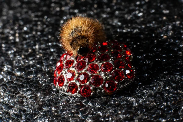 Caterpillar Sur Les Bijoux Pierres Précieuses Rouges — Photo